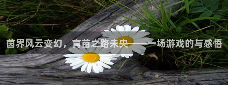 手机版星欧娱乐客户端下载